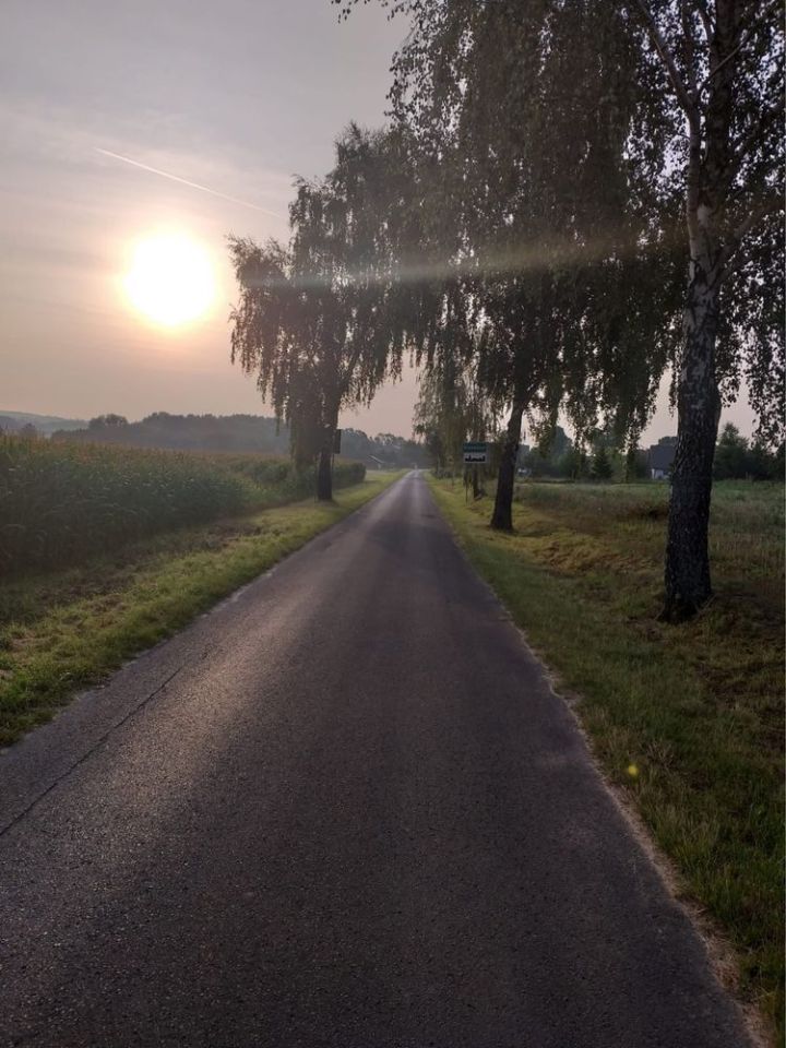 Działka budowlana Prawocice. Zdjęcie 3