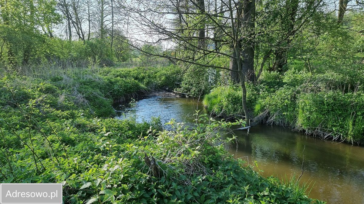 Działka rolna Łąki. Zdjęcie 6