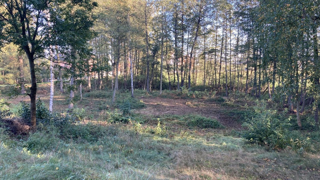 Działka inna Potaśnia, ul. Czereśniowa. Zdjęcie 7