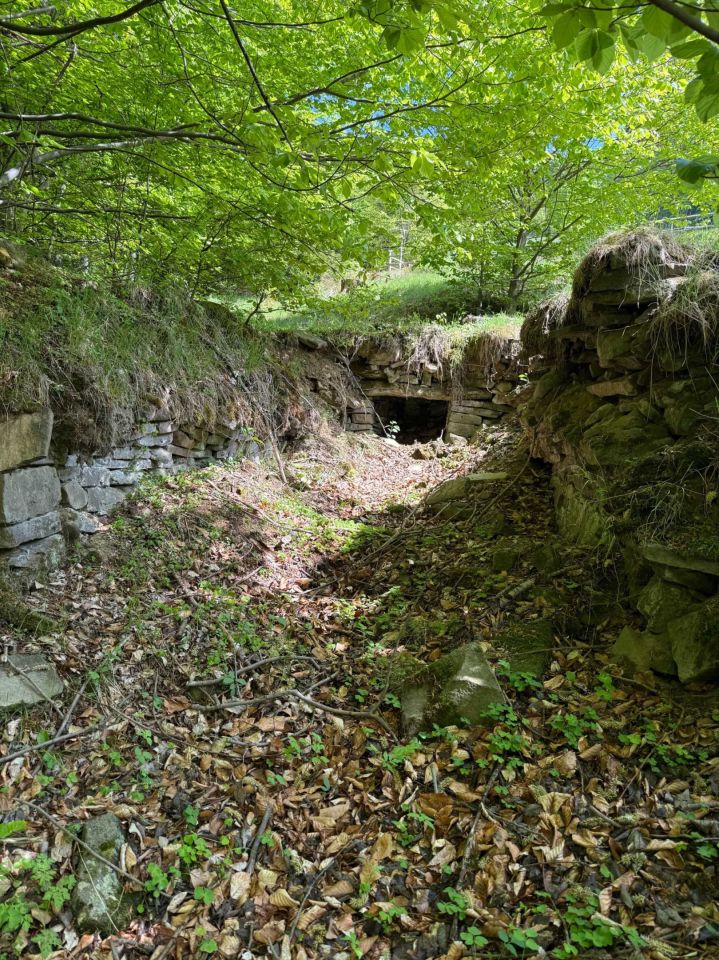 Działka rolna Wilkowice Magurka. Zdjęcie 5