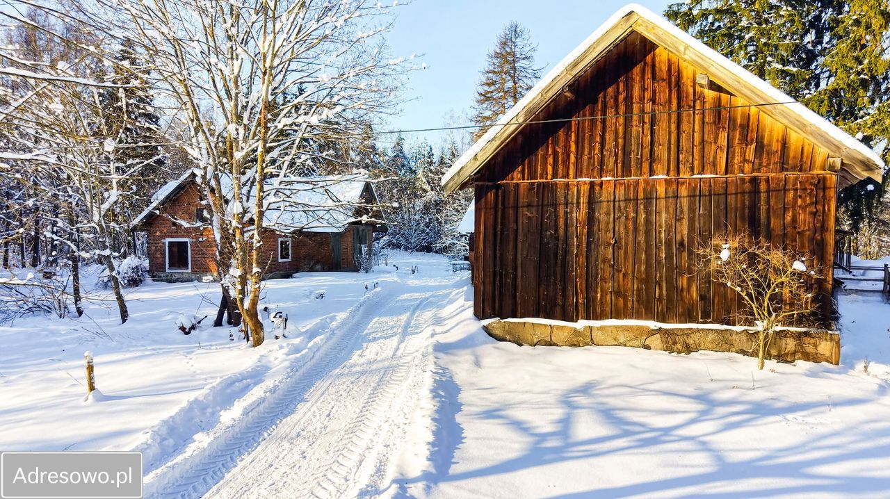 siedlisko, 5 pokoi Nowe Kawkowo. Zdjęcie 15