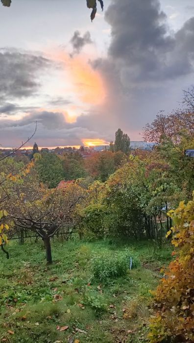 Działka rod Gdańsk Aniołki. Zdjęcie 2