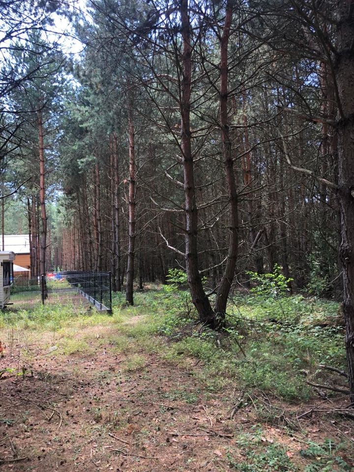 Działka rekreacyjna Życiny. Zdjęcie 3