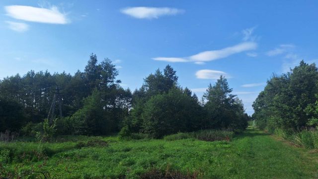 Działka rolna Tłuszcz Zakrzewie. Zdjęcie 1