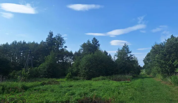 Działka rolna Tłuszcz Zakrzewie