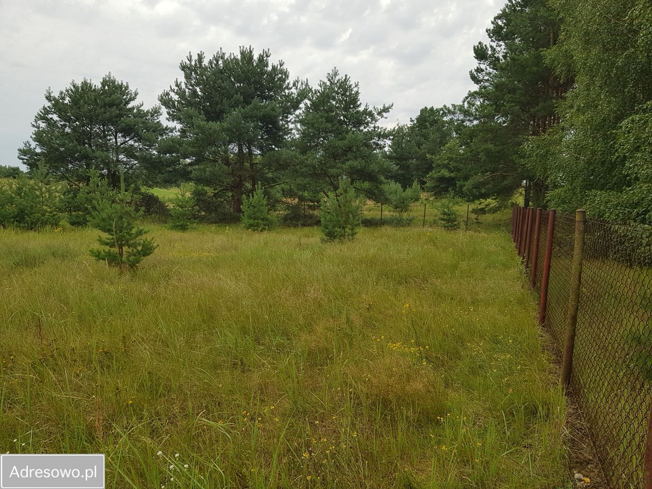 Działka budowlana Janowo. Zdjęcie 4