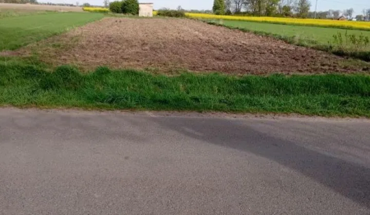 Działka rolno-budowlana Orłowo, Orłowo