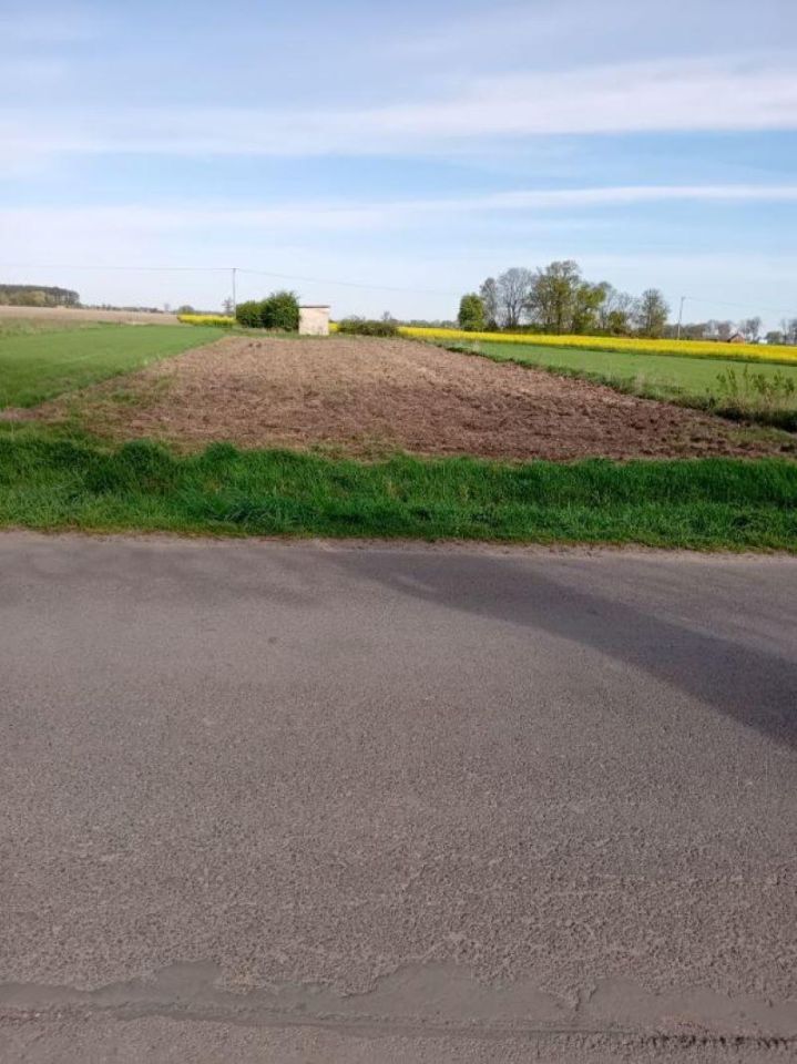 Działka rolno-budowlana Orłowo. Zdjęcie 1