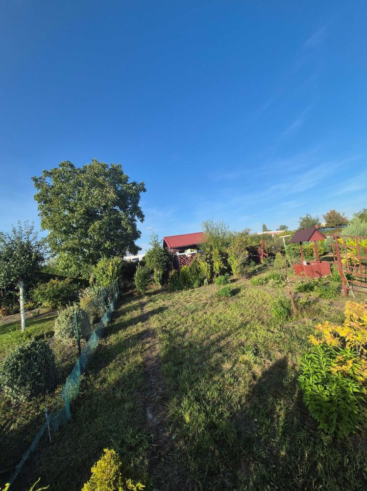 Działka rod Głogów. Zdjęcie 5