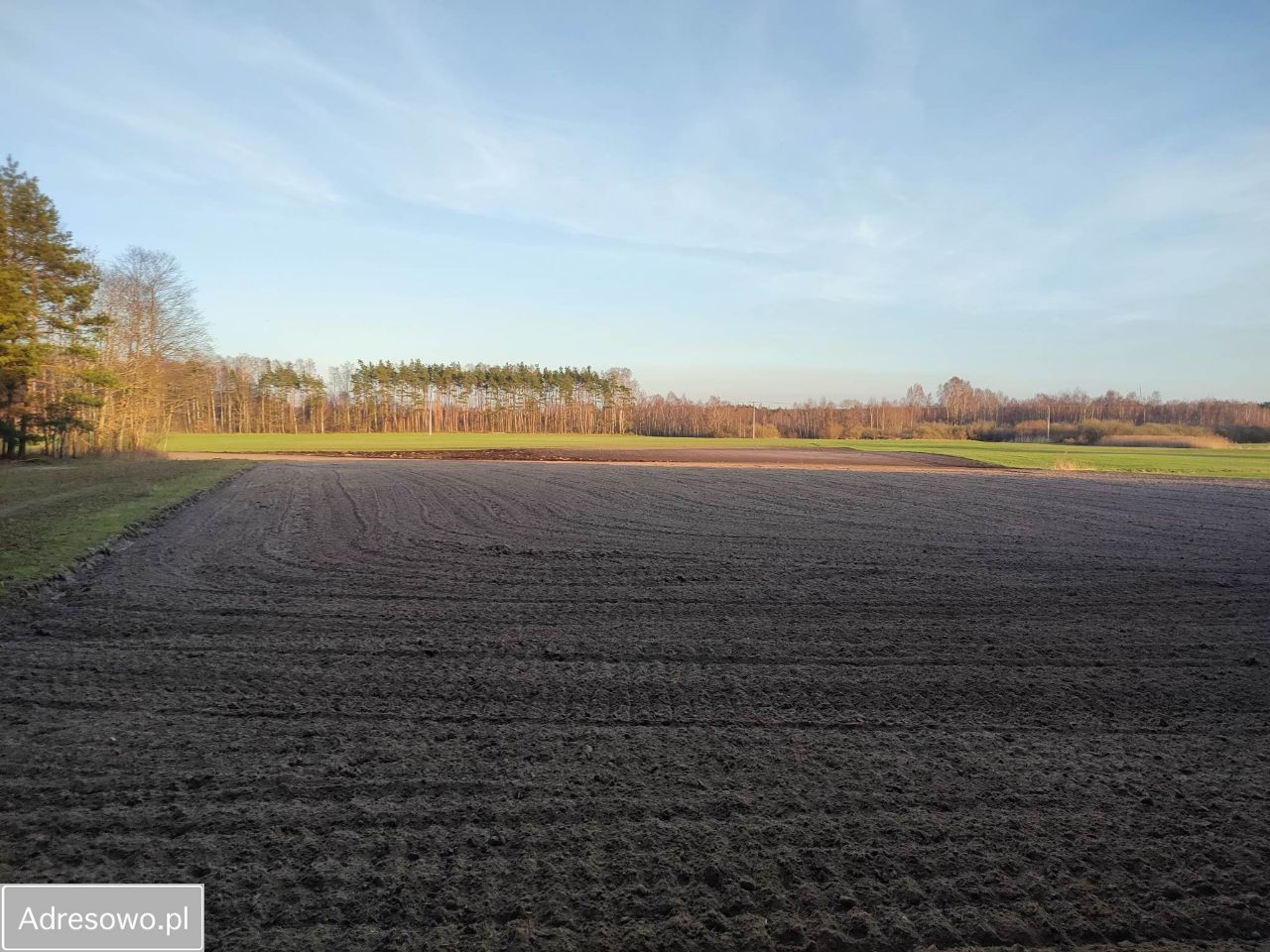 Działka rolna Koteże. Zdjęcie 7