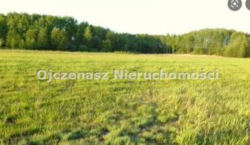 Działka rolno-budowlana Czarnowo