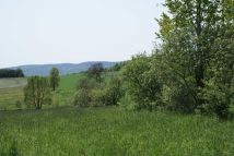 Działka rekreacyjna Miszkowice. Zdjęcie 2