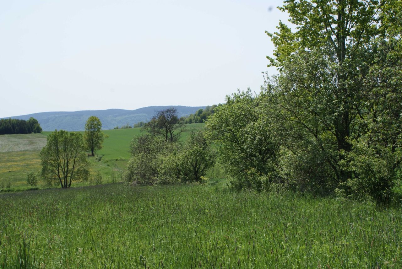 Działka rekreacyjna Miszkowice. Zdjęcie 3