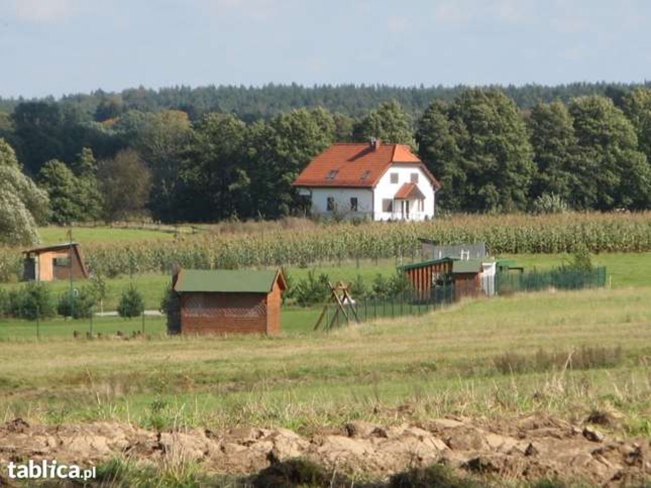 Działka rolna Orzyny. Zdjęcie 4