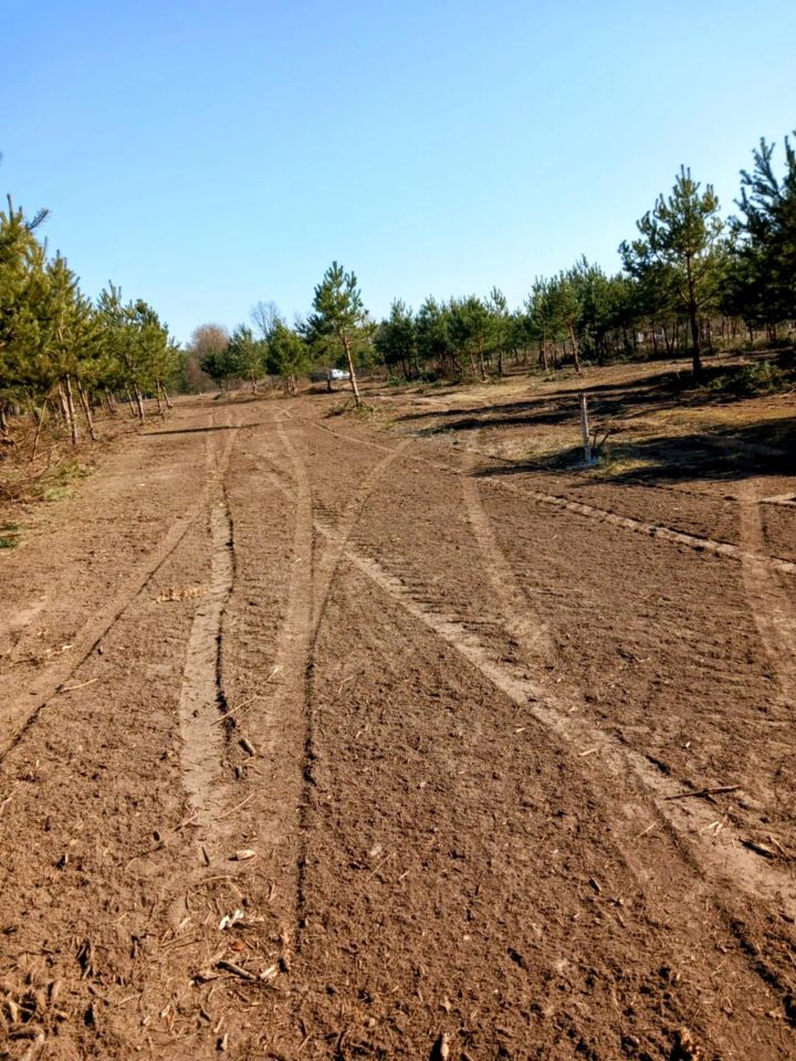 Działka rolno-budowlana Gucin. Zdjęcie 16