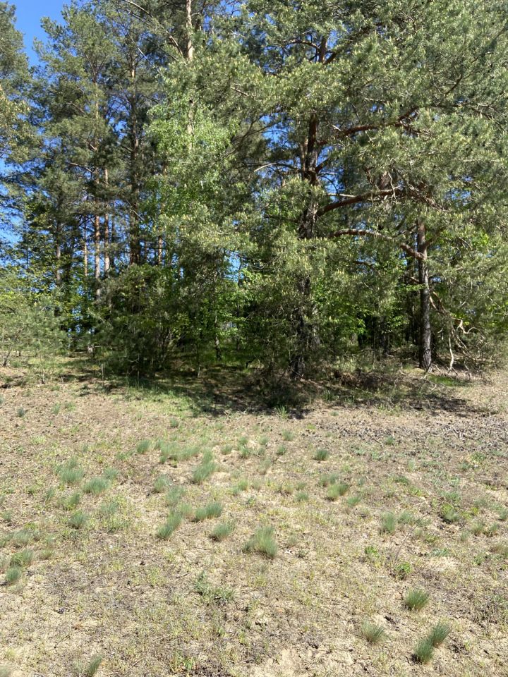 Działka rolno-budowlana Narty, ul. Długa. Zdjęcie 2