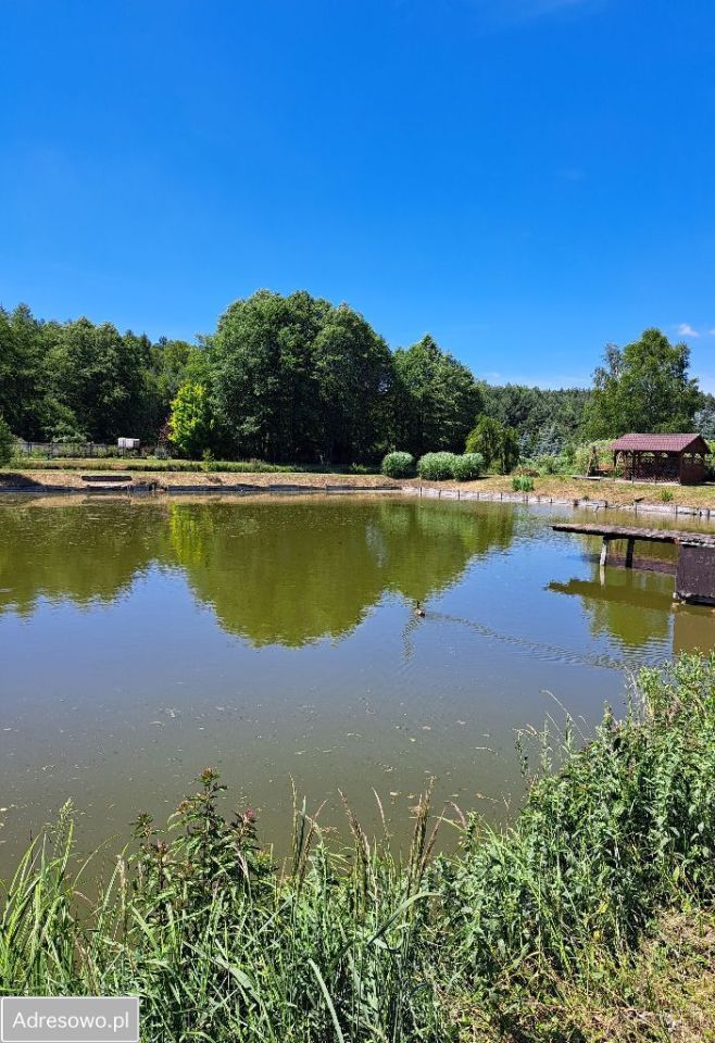Działka budowlana Wólka Żabna. Zdjęcie 6