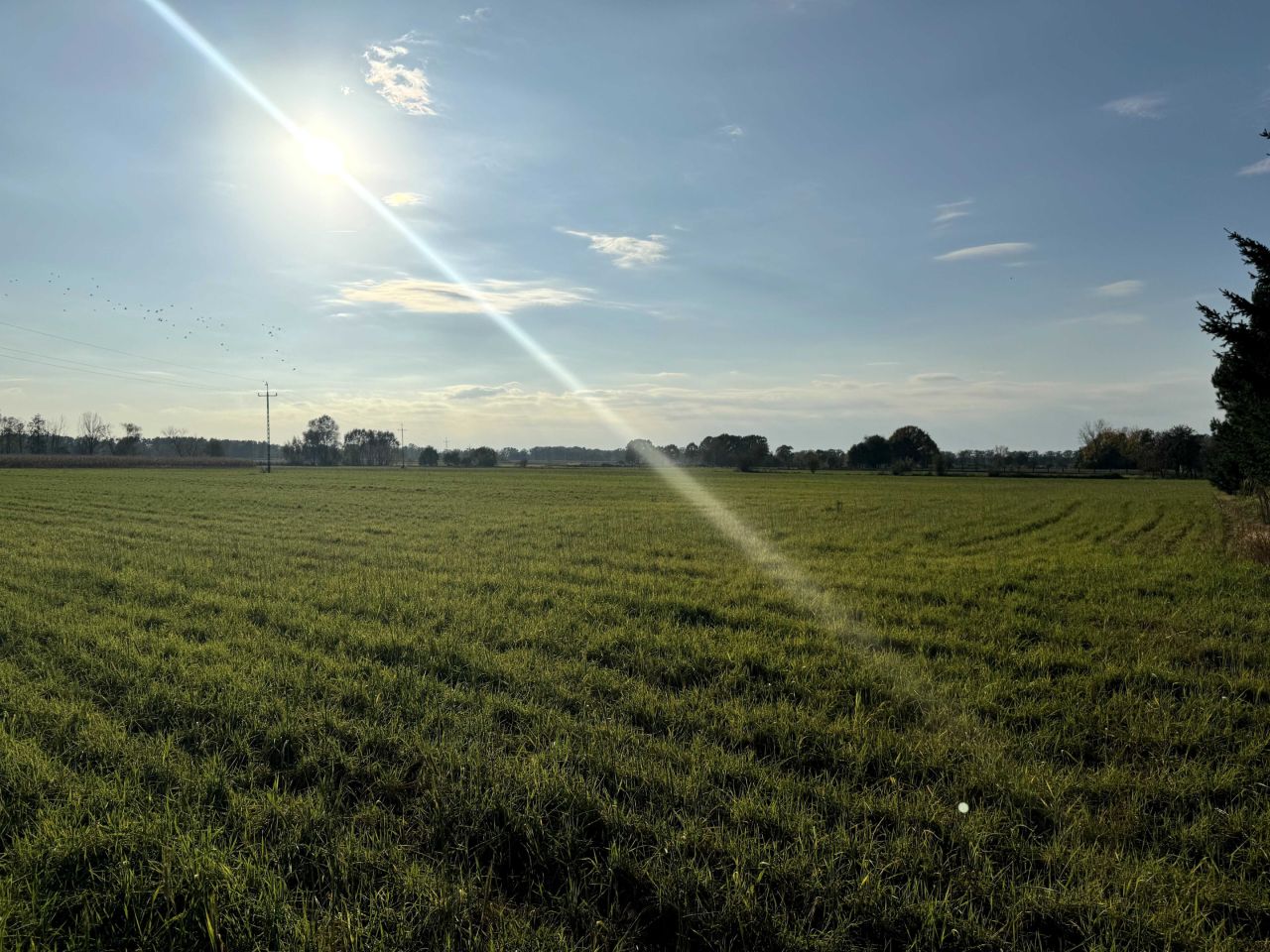 Działka rolno-budowlana Potasznia. Zdjęcie 3