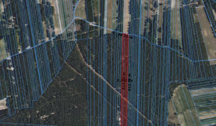 Działka leśna Witkowice