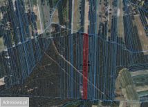 Działka leśna Witkowice