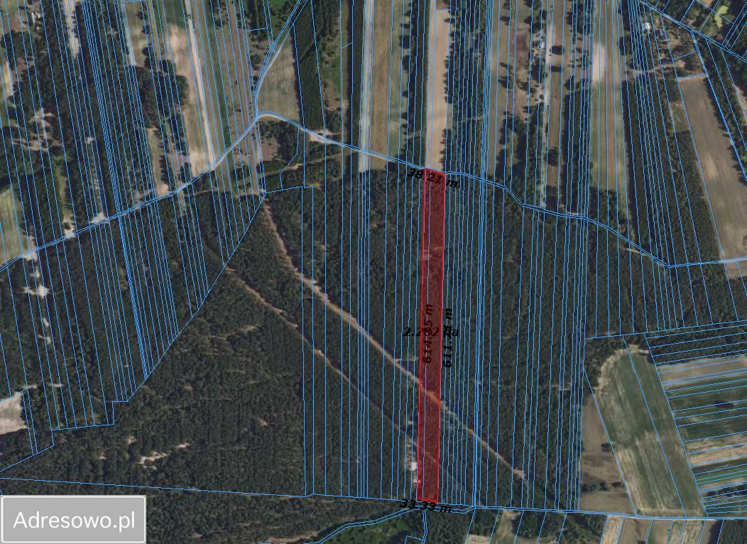 Działka leśna Witkowice