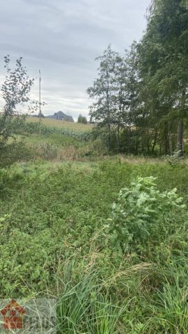 Działka rolna Czułówek. Zdjęcie 7