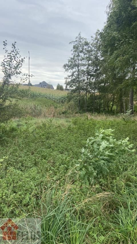 Działka rolna Czułówek. Zdjęcie 7