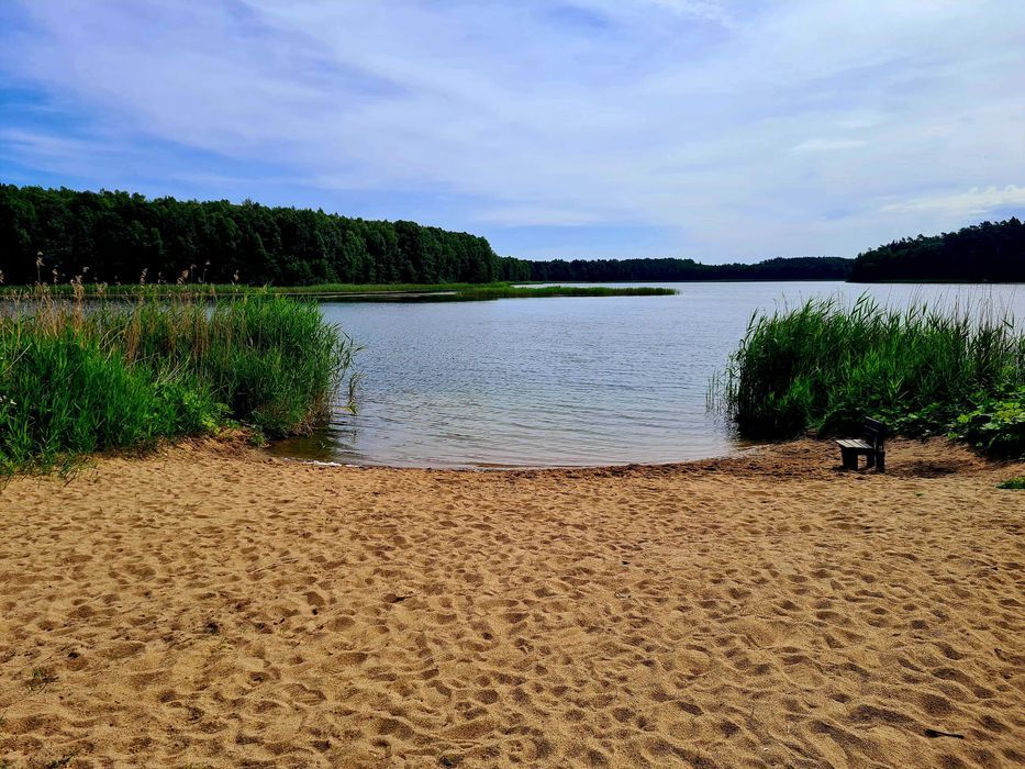 dom letniskowy Gąsiorowo Olsztyneckie. Zdjęcie 3