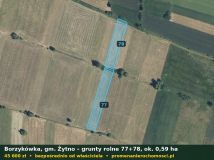 Działka rolna Borzykówka. Zdjęcie 1