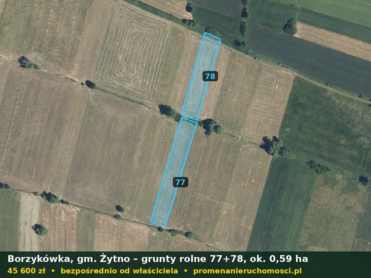 Działka rolna Borzykówka. Zdjęcie 2