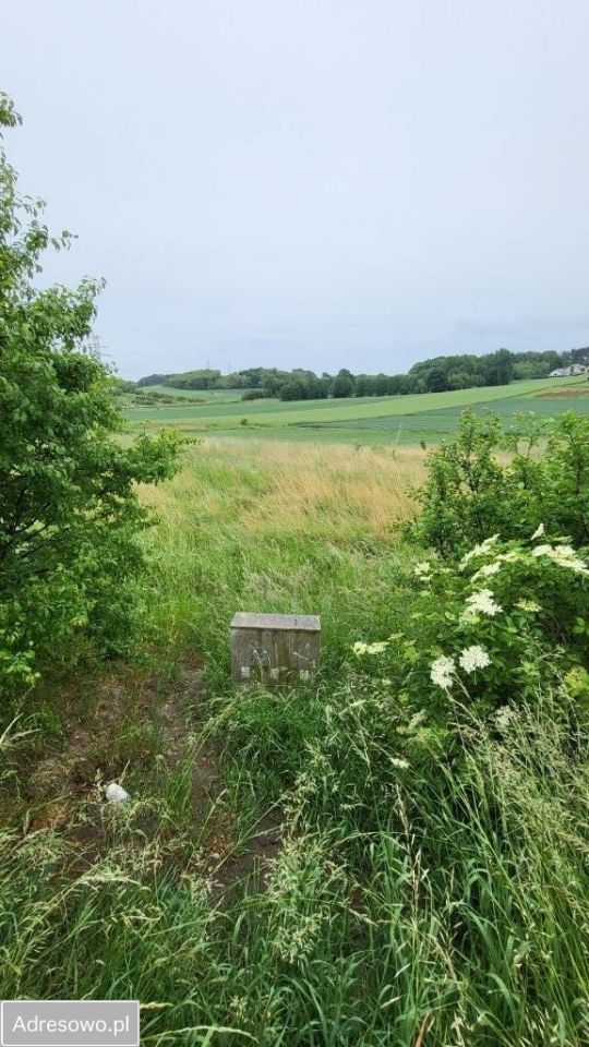 Działka budowlana Smardzów. Zdjęcie 11
