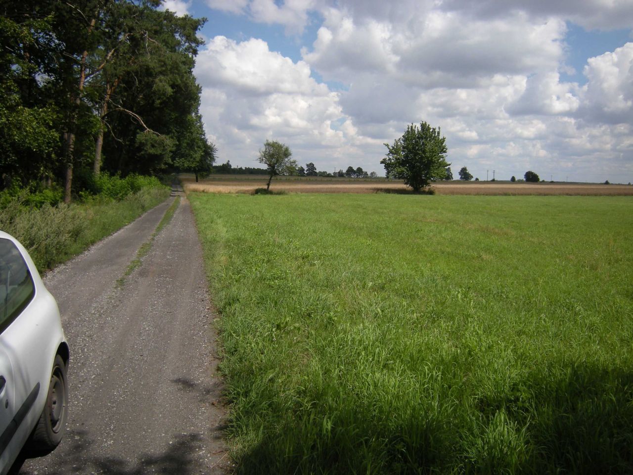 Działka budowlana Budziszewice. Zdjęcie 3