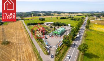 dom wolnostojący, 5 pokoi Starkowa Huta