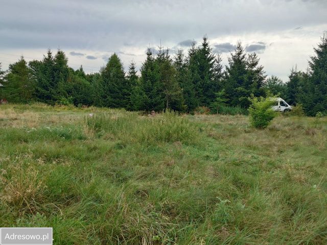 Działka budowlana Tleń, ul. Leszczynowa. Zdjęcie 1