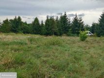 Działka budowlana Tleń, ul. Leszczynowa