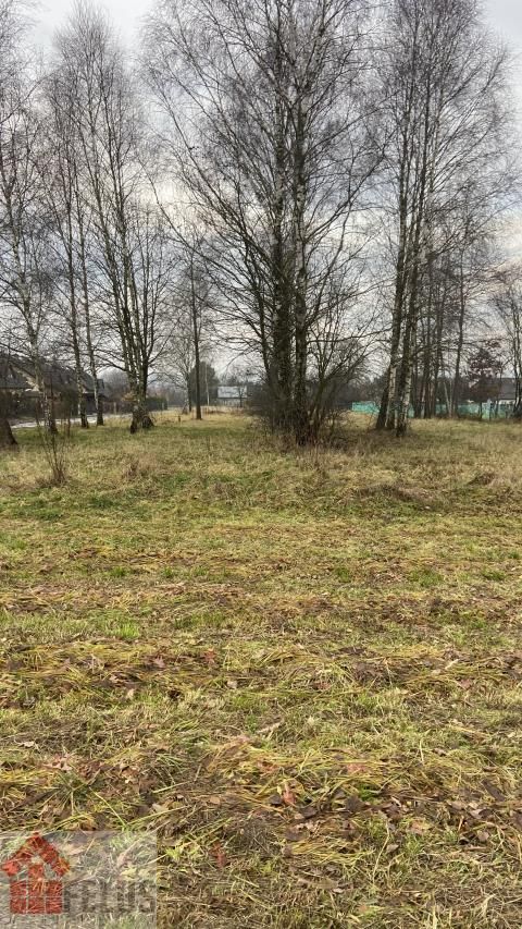 Działka budowlana Rybna, ul. Krokusowa. Zdjęcie 7