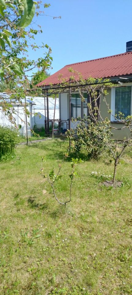 Działka rod Zaborze Borowiec, ul. Tatarska Grobel. Zdjęcie 3