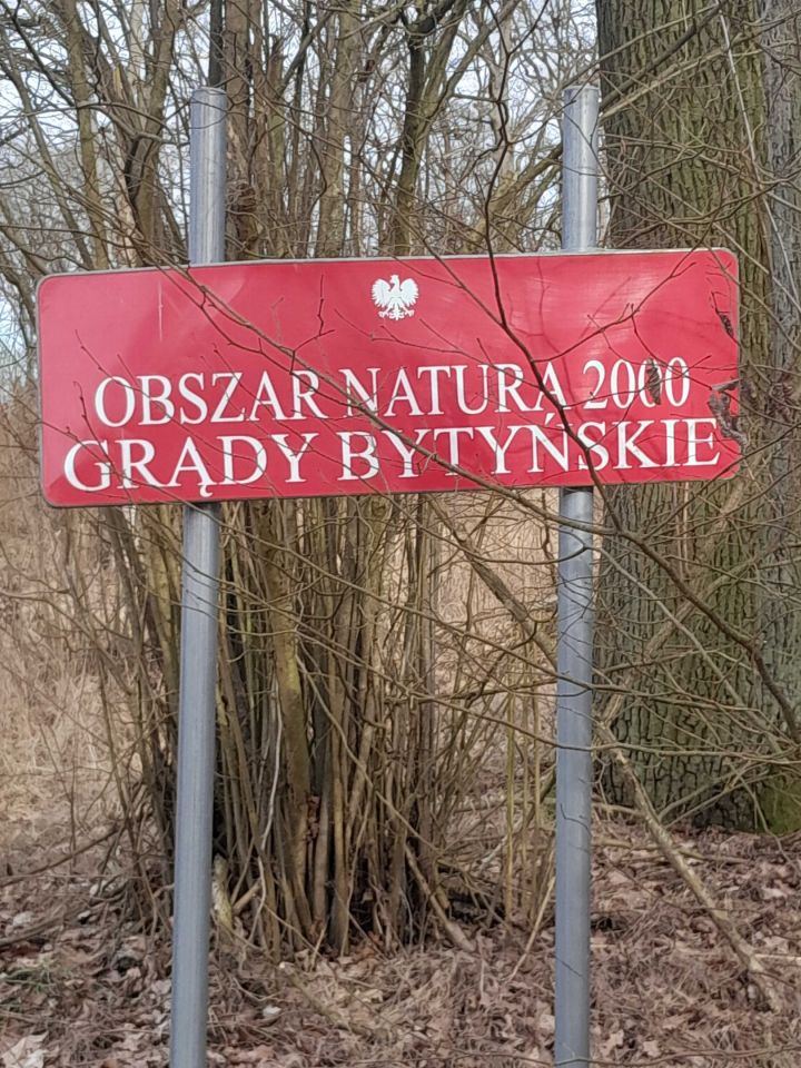 Działka budowlana Mieściska. Zdjęcie 5