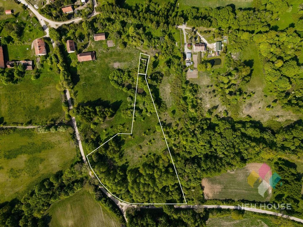Działka rolna Raciszewo. Zdjęcie 12