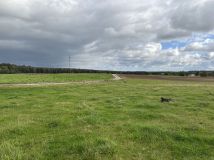 Działka rolno-budowlana Odry. Zdjęcie 3