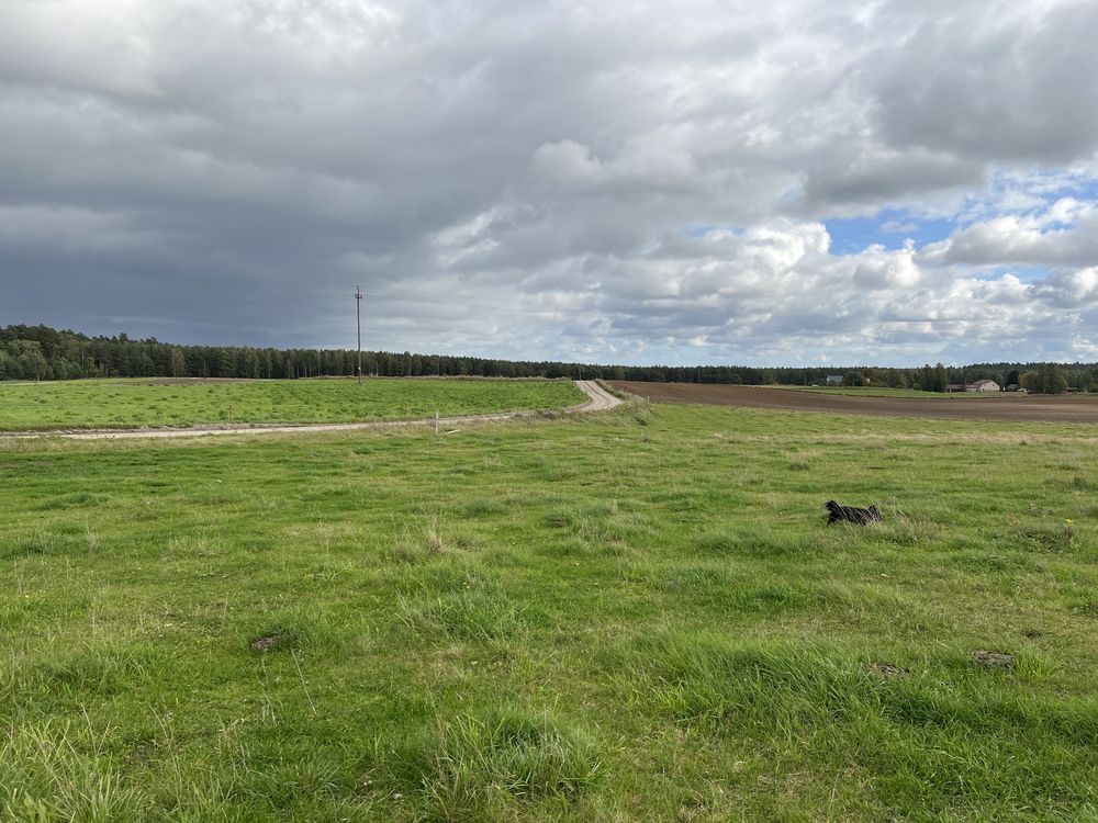 Działka rolno-budowlana Odry. Zdjęcie 4