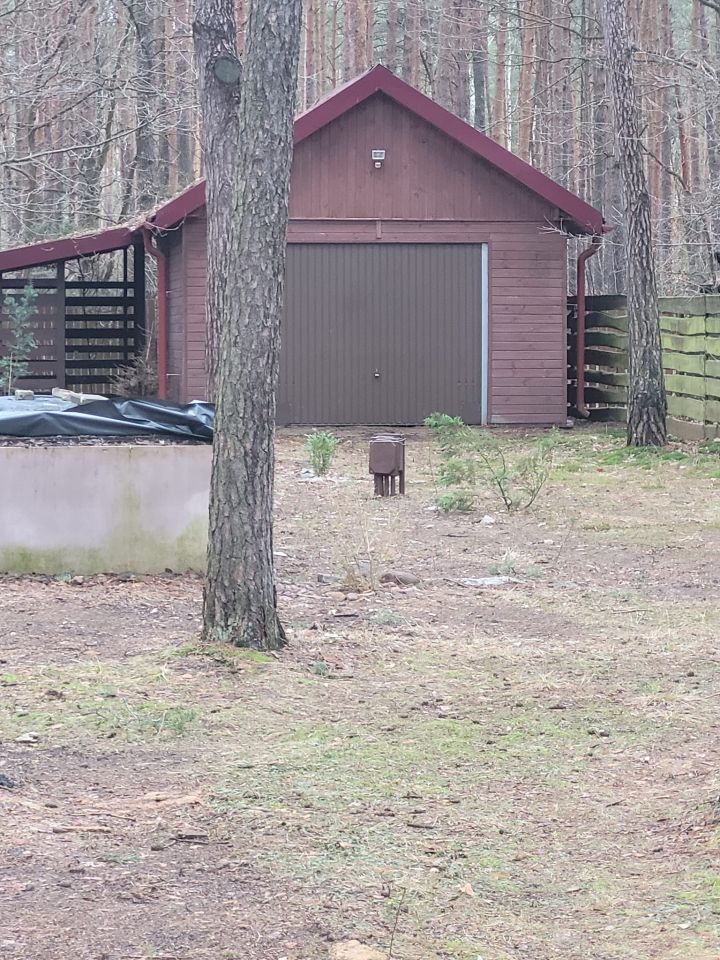 Działka leśna Poddębie, ul. Brzozowa. Zdjęcie 2