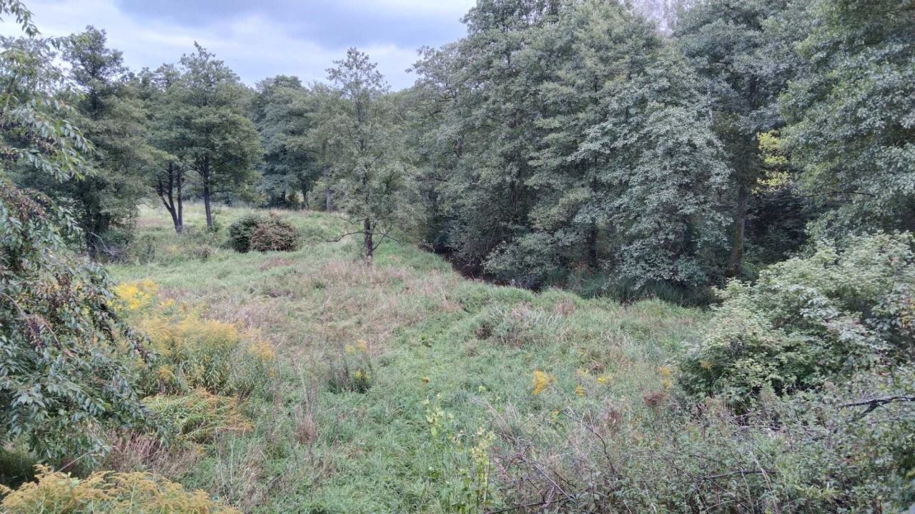 Działka rolno-budowlana Dąbrowa Górnicza Błędów, ul. Turystyczna. Zdjęcie 4