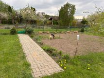 Działka rod Lidzbark Warmiński. Zdjęcie 4