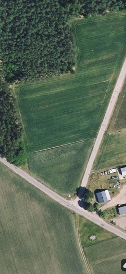 Działka budowlana Poświętne. Zdjęcie 7