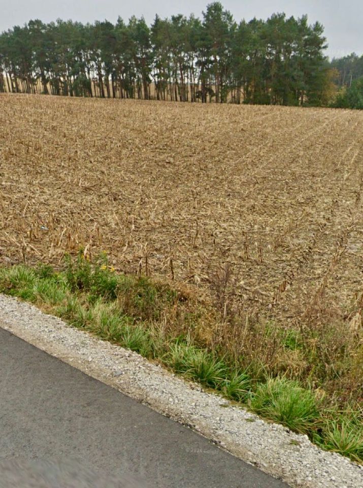 Działka budowlana Obrowo, ul. Leszczynowa. Zdjęcie 4