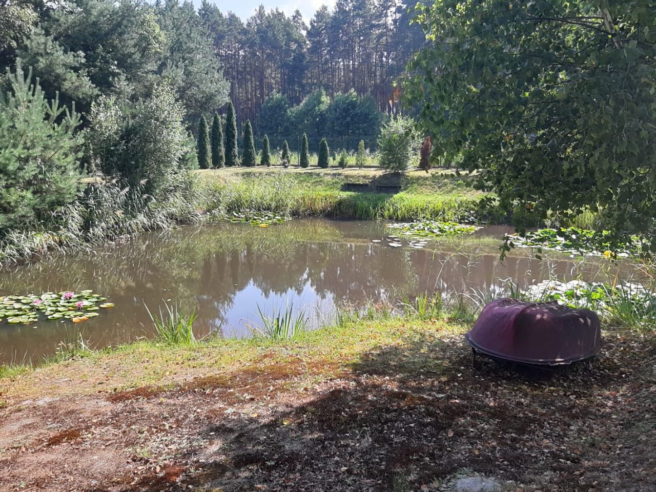 Działka budowlana Czysta. Zdjęcie 10