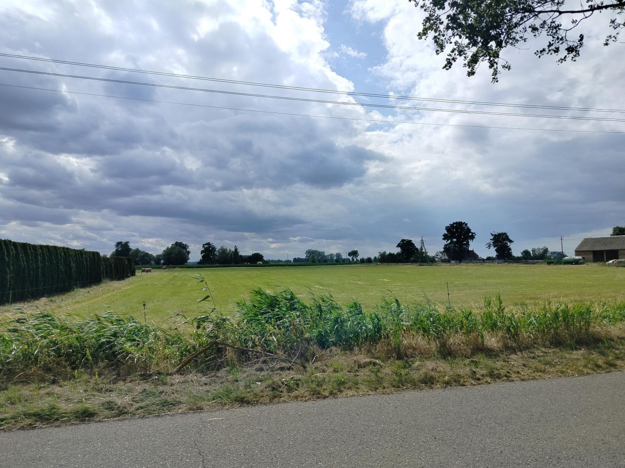 Działka rolna Głuchowo-Kolonia, Lemierzycka. Zdjęcie 4