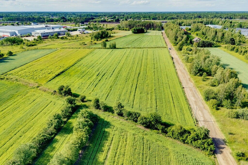 Działka inwestycyjna Duchnów, ul. Spacerowa. Zdjęcie 8