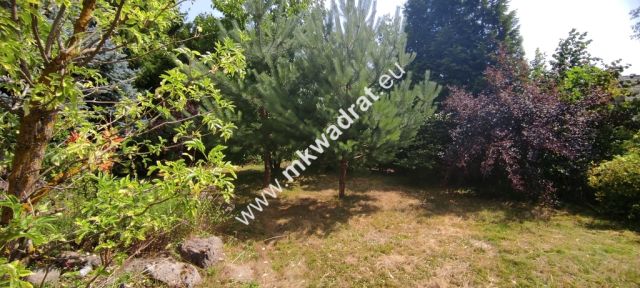 siedlisko, 3 pokoje Budy Wolskie. Zdjęcie 7